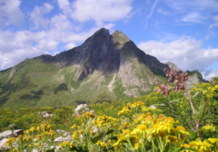 allgaeu_02.png