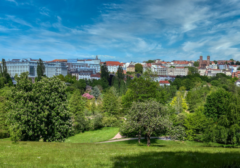 pirmasens_01.png