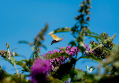 erlebnisraum_natur.png